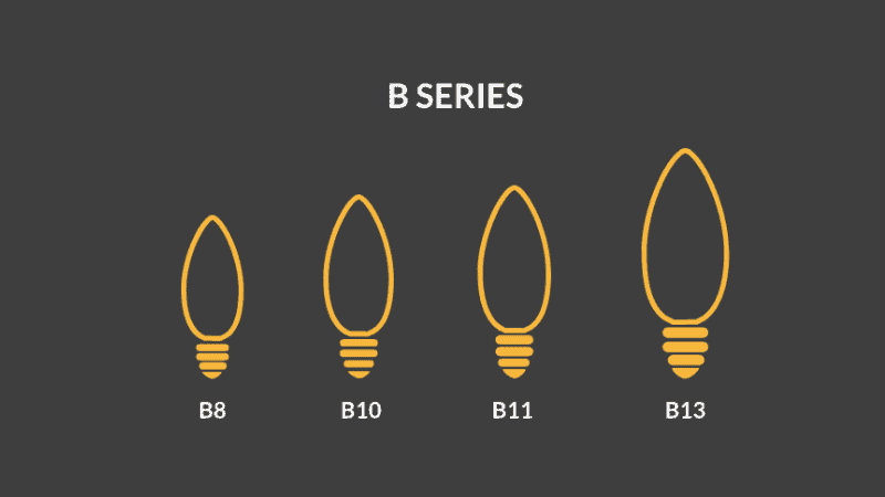 B Series Bulbs