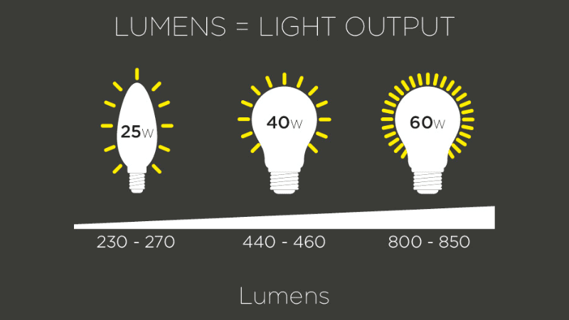 what are lumens？