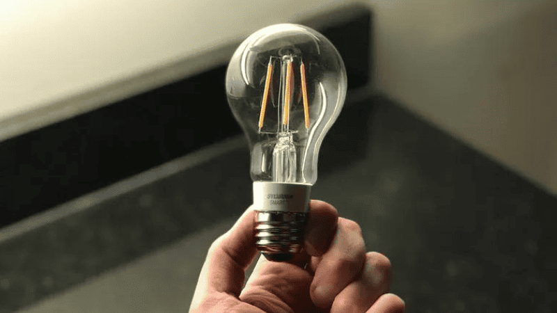 show the bulb shape 