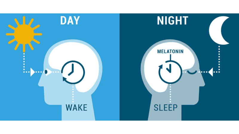 Circadian lighting, a subset of human-centric lighting, enhances health and well-being by aligning with the body's natural rhythms, 