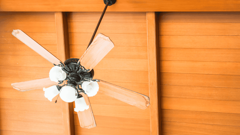 best Ceiling Fan Performance