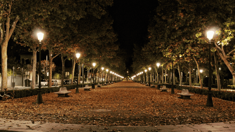 path lights
