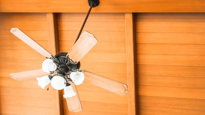 ceiling fan