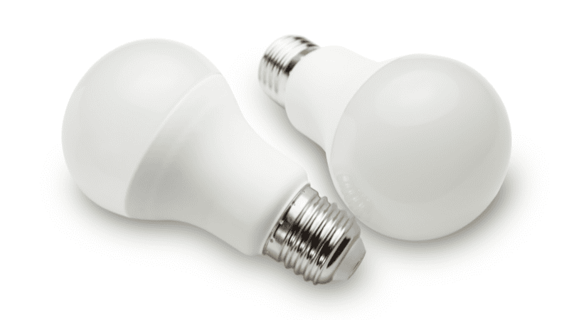 the bulbs