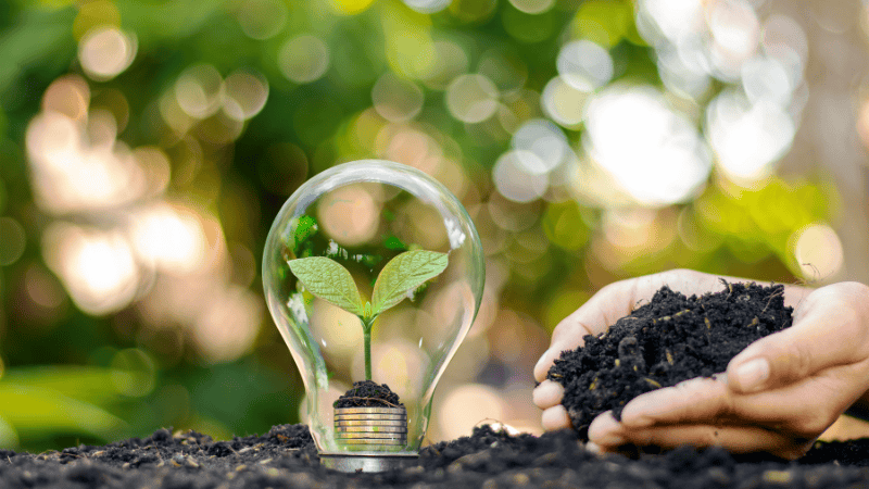 This is a display of light bulbs made of green and environmentally friendly materials.
