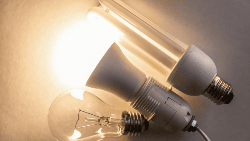  Fluorescent Light Bulbs