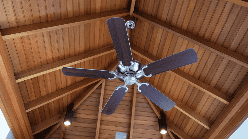 Dual Motor Ceiling Fans