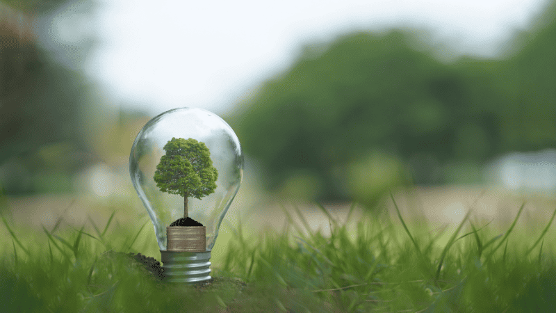 sustainable lighting