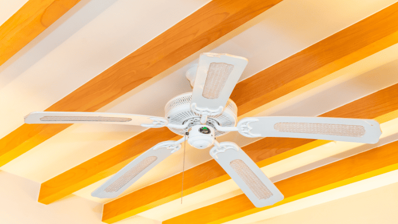 ceiling fan