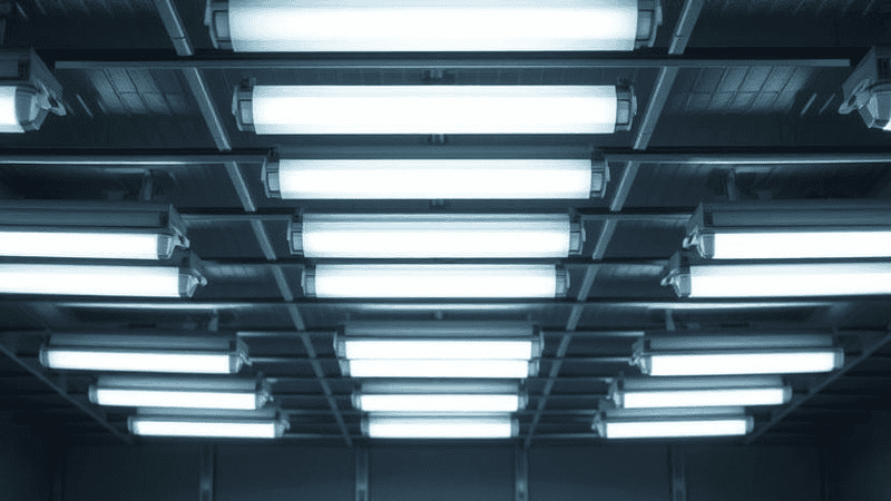 A series of fluorescent tubes on a factory ceiling
