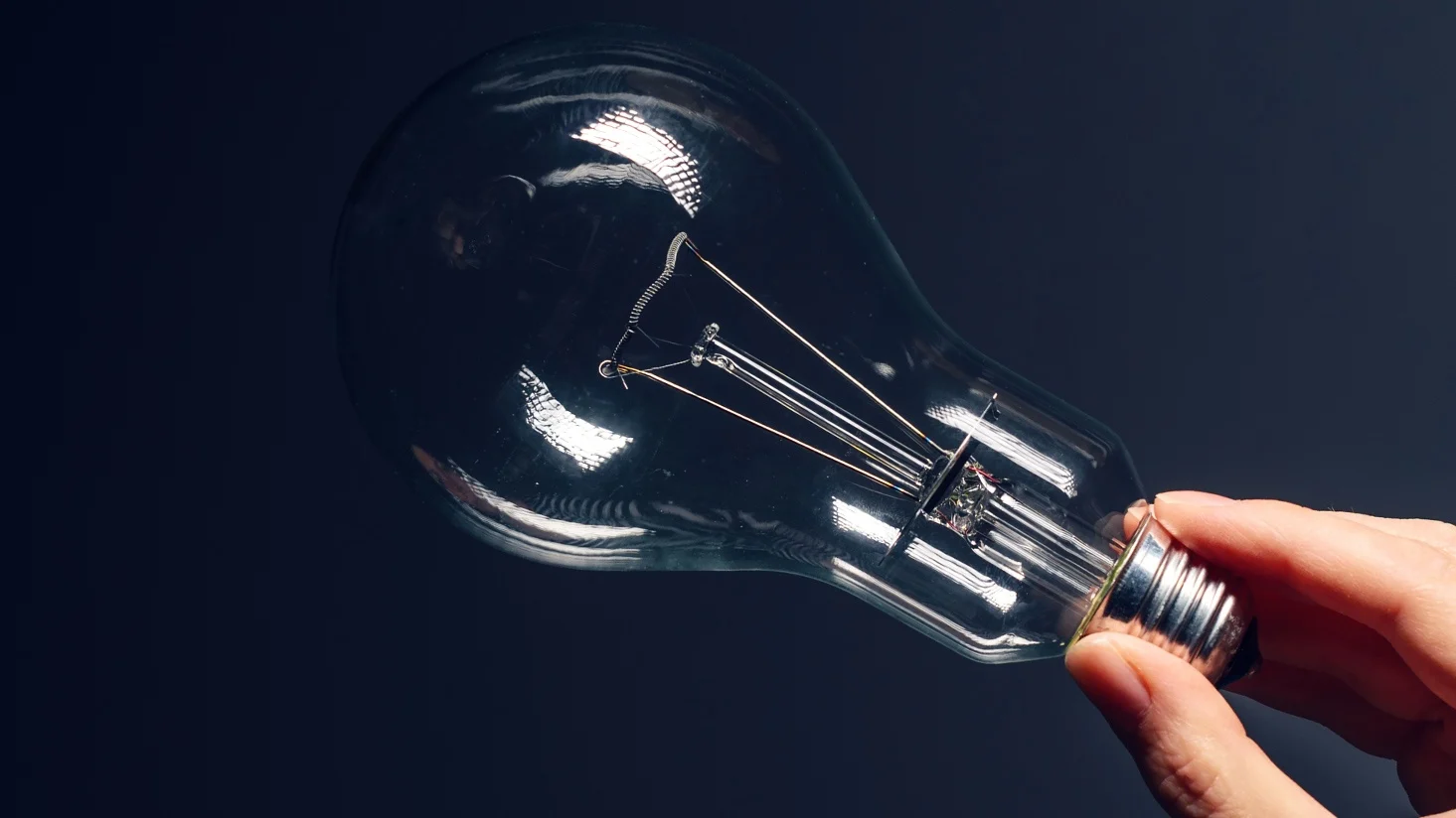 a beautiful  light bulb