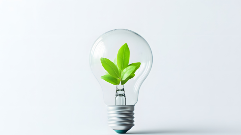 There is a green plant in an old transparent light bulb.