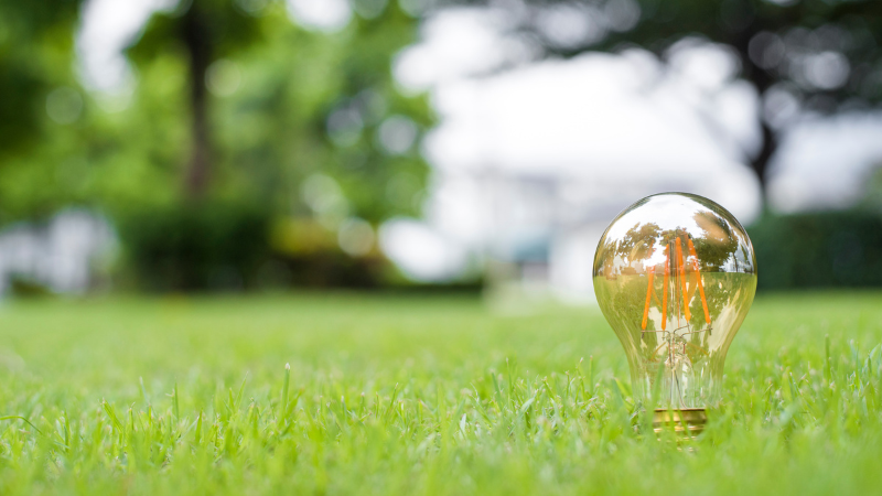 A used light bulb, after being properly processed, can protect the green environment.