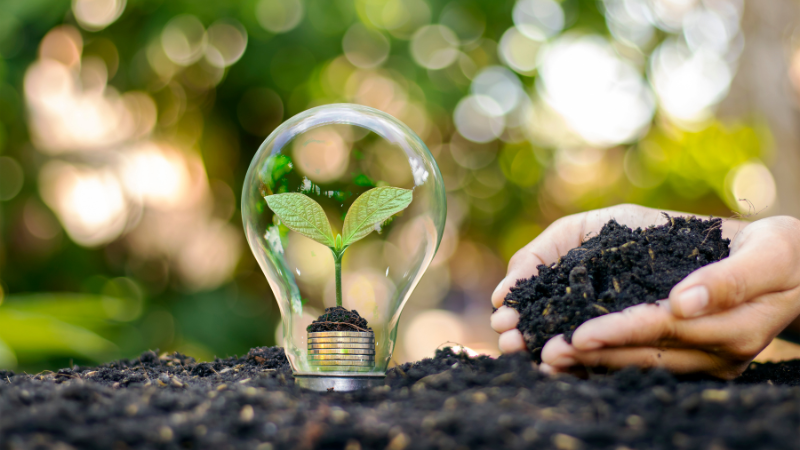 Scientific methods for handling light bulbs