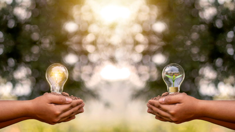 Two people each hold a light bulb facing each other. We should choose light bulbs that are good for the environment and handle them properly at the same time.