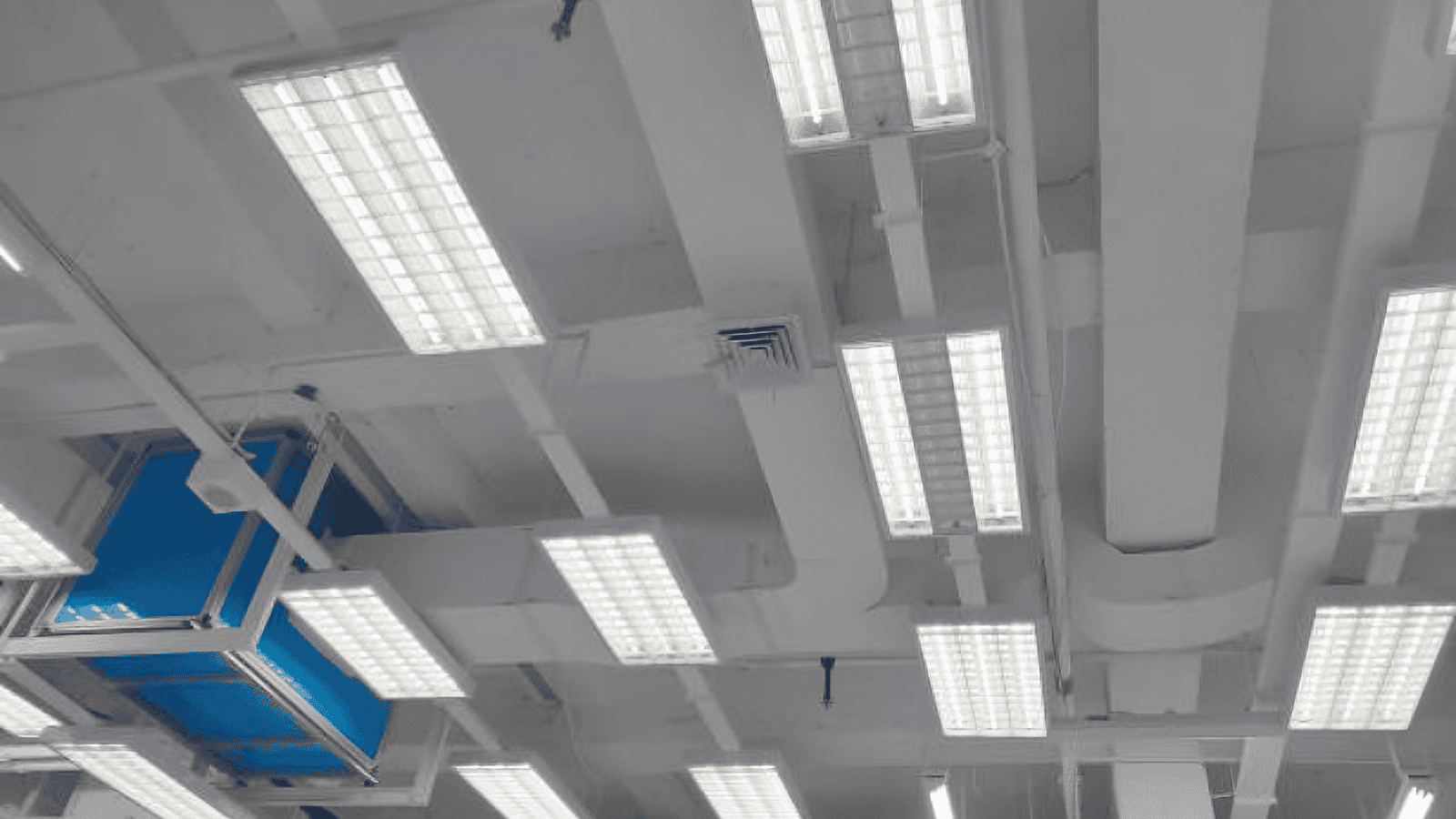 LED Shop Lights