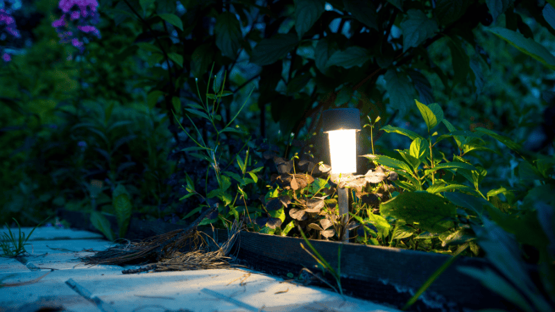 outdoor lights in the park