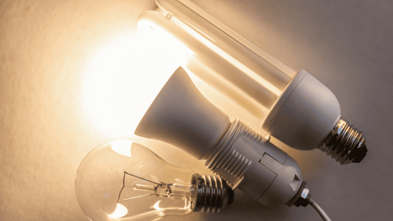 different kinds of warm White Light bulbs